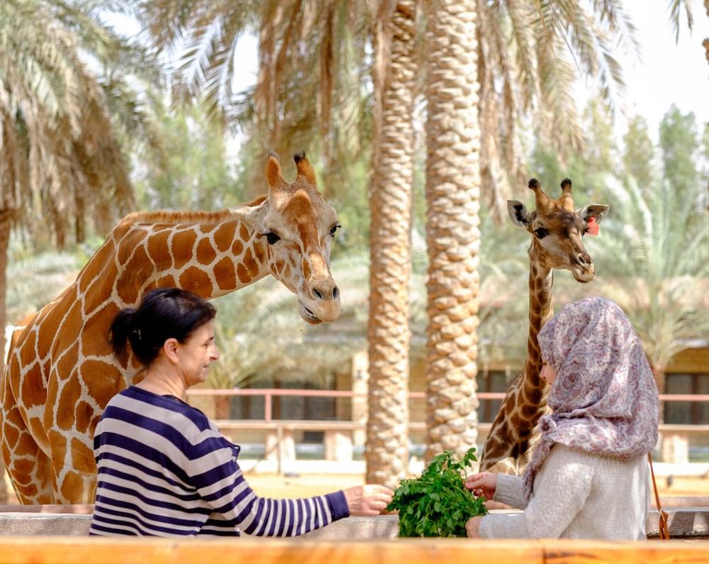 Emirates Park Resort Abu Dhabi